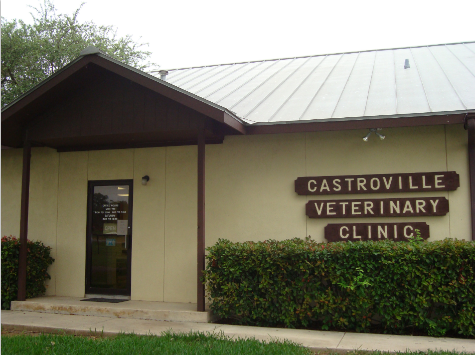 Castroville Veterinary Clinic | 1991 US-90 W, Castroville, TX 78009 | Phone: (830) 538-2274