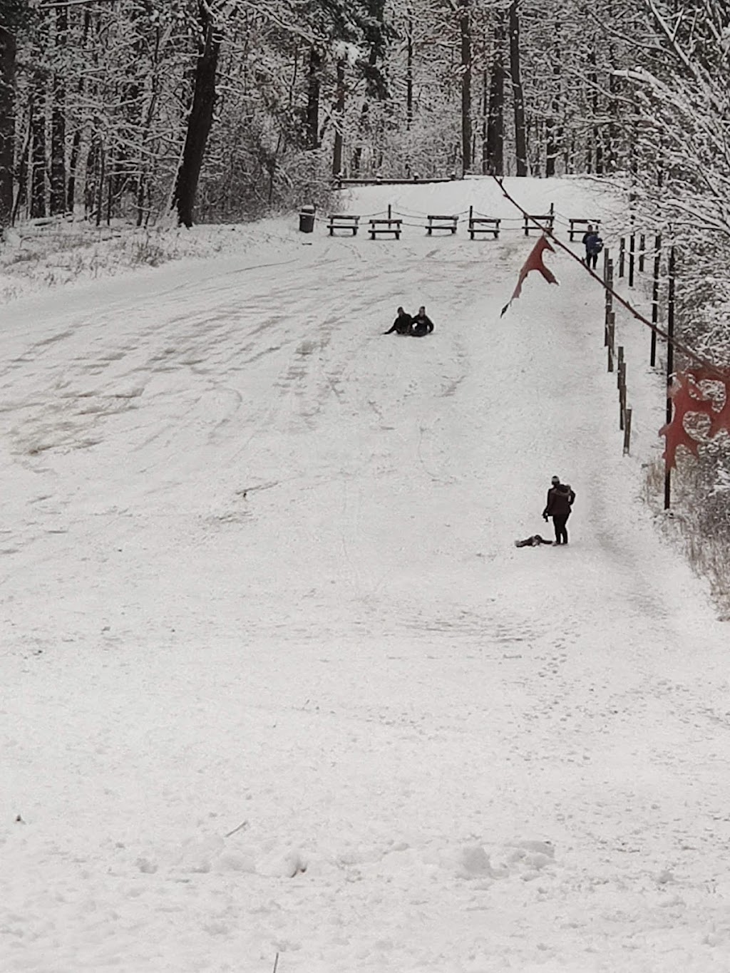 Hinckley Township Sledding Hill | Hinckley, OH 44233, USA | Phone: (330) 278-2160