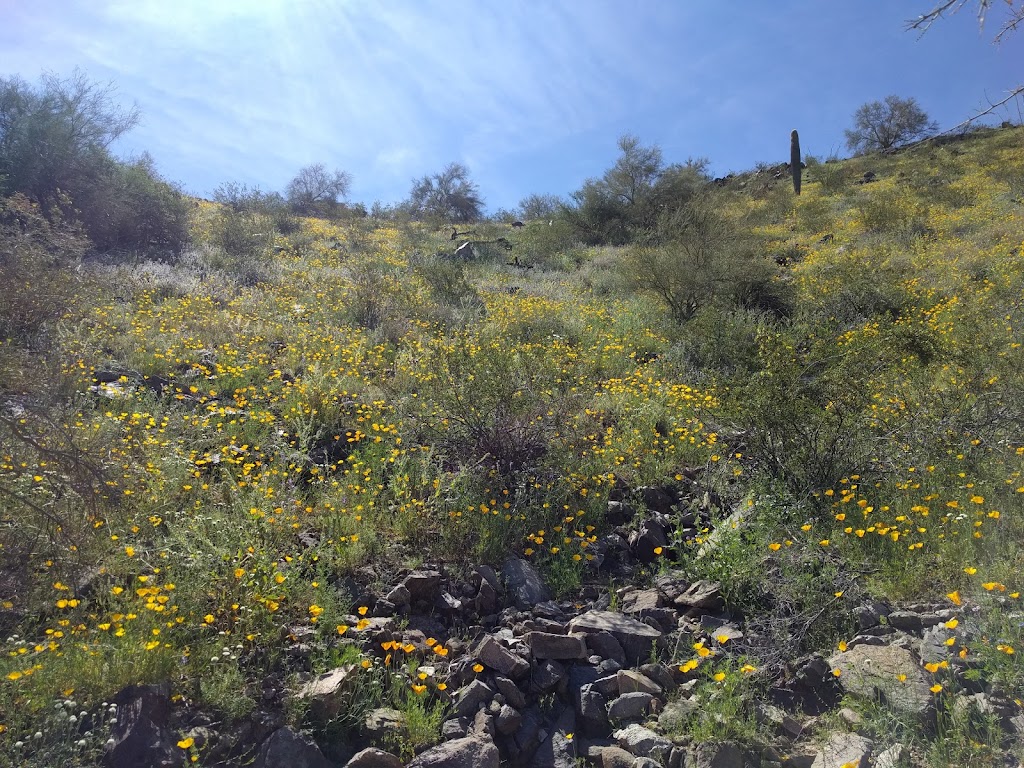 Estrella Mountain Regional Park | 14805 W Vineyard Ave, Goodyear, AZ 85338, USA | Phone: (602) 506-2930