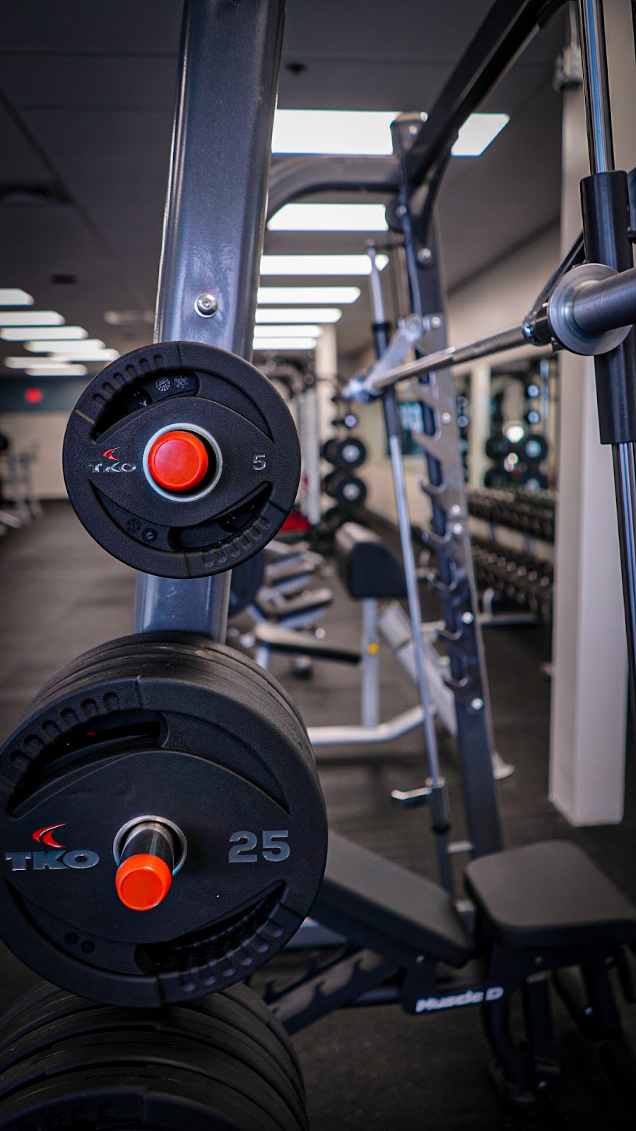 All City Fitness | 1005 E Pescadero Ave Site 211, Tracy, CA 95304, USA | Phone: (833) 422-3496