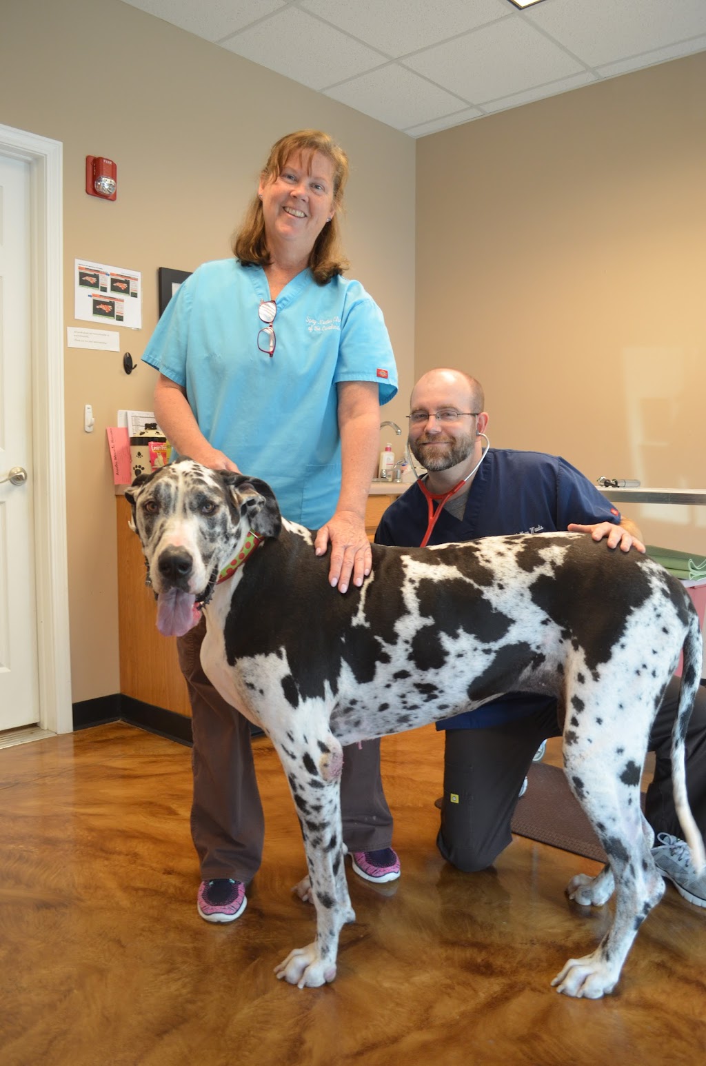 Spay Neuter Clinic of the Carolinas | 8045 Providence Rd #450, Charlotte, NC 28277, USA | Phone: (704) 542-9997