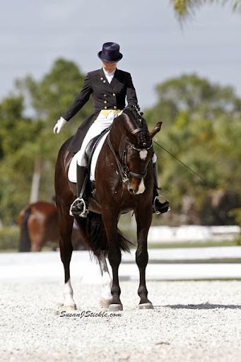 Adesco Dressage | 8281 Dines Rd, Novelty, OH 44072 | Phone: (216) 533-0920