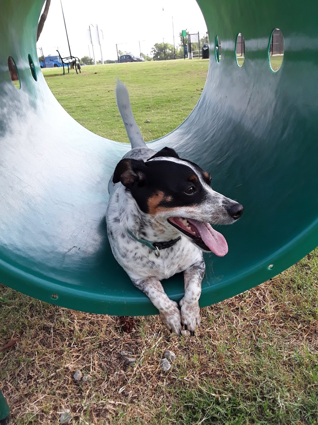 Happy Tails Dog Park | 1903 NE 12th St, Moore, OK 73160, USA | Phone: (405) 793-5090