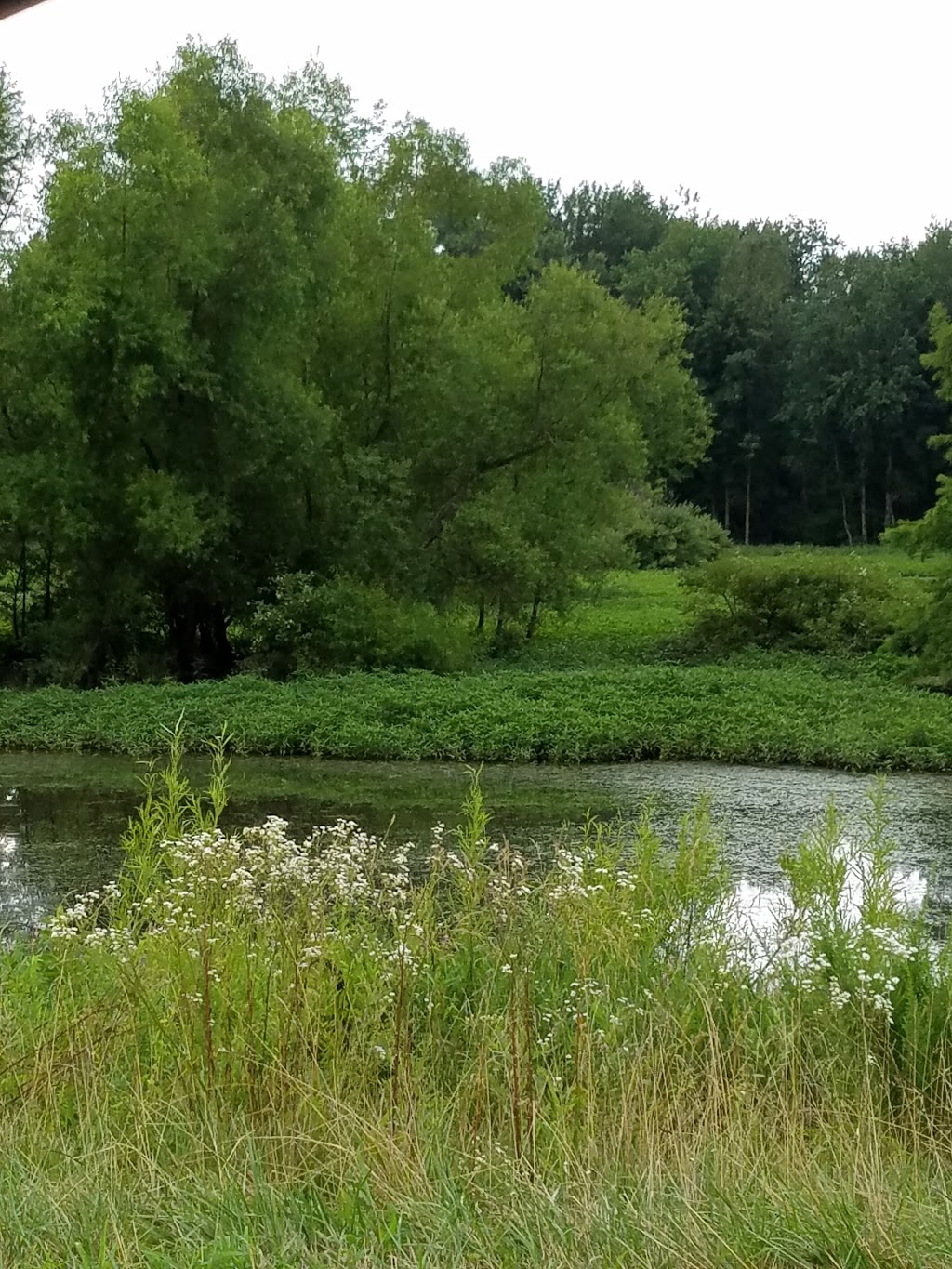 Meadow Ridge Conservation Park | 105 W Sauthoff Rd, Madison, WI 53704, USA | Phone: (608) 266-4711