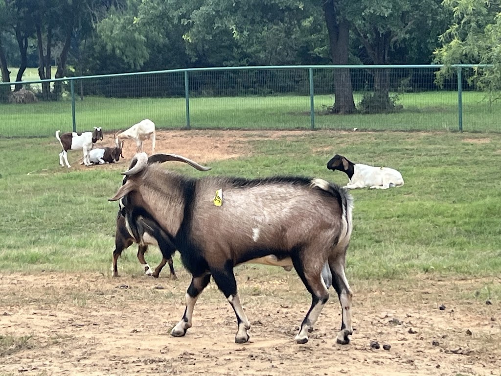 Salamis Farms | 10349 Shadow Valley Ct, Burleson, TX 76028, USA | Phone: (918) 815-0245