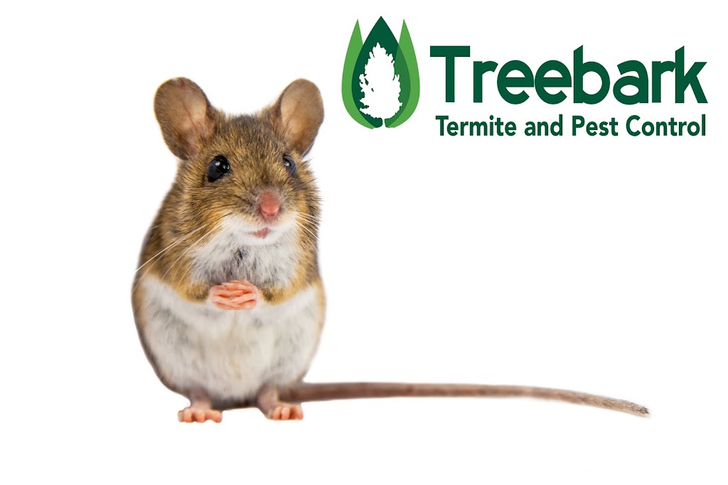 Treebark Termite and Pest Control | 64 Mapleton, Irvine, CA 92620 | Phone: (949) 329-3305