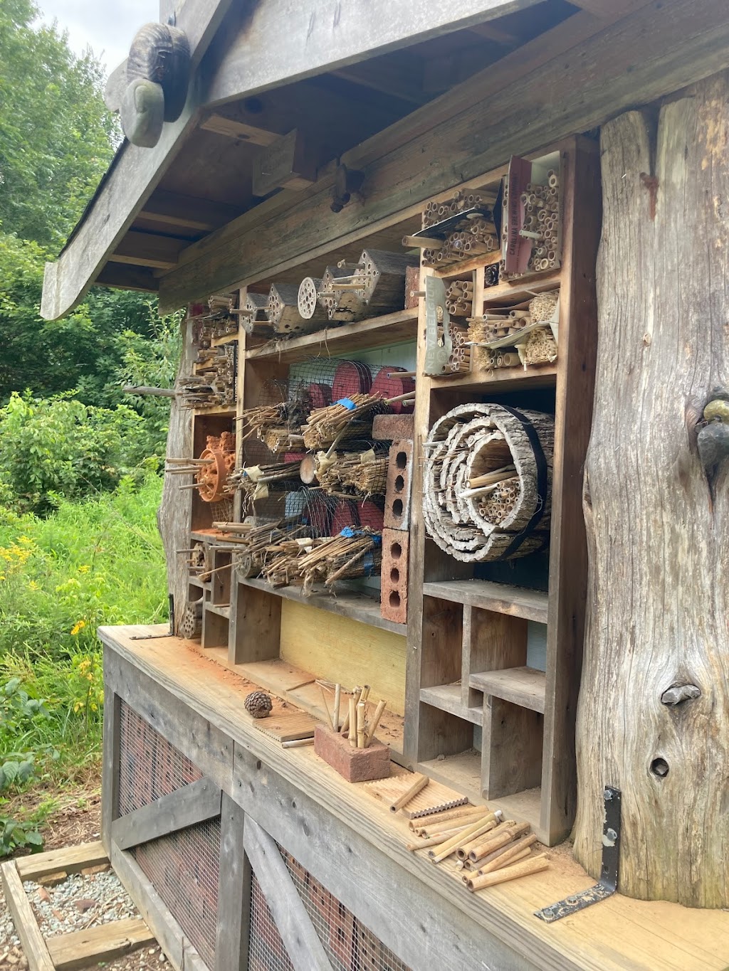 Pollinator Garden and Bee Hotel | 415 Dimmocks Mill Rd, Hillsborough, NC 27278, USA | Phone: (919) 732-1270