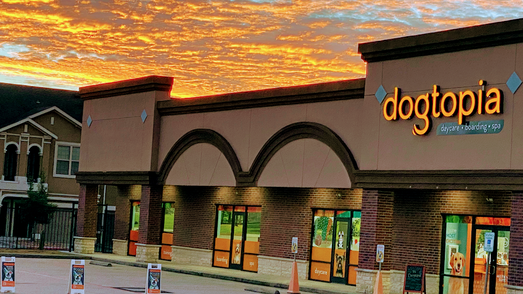 Dogtopia The Woodlands North | 463 Farm to Market Rd 1488 Suite 110, Conroe, TX 77384, USA | Phone: (832) 308-3664