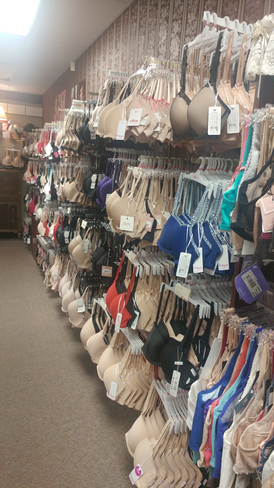 The Delicate Touch Lingerie & Sleepwear | 3877 Dougall Ave, Windsor, ON N9G 1X3, Canada | Phone: (519) 972-9675