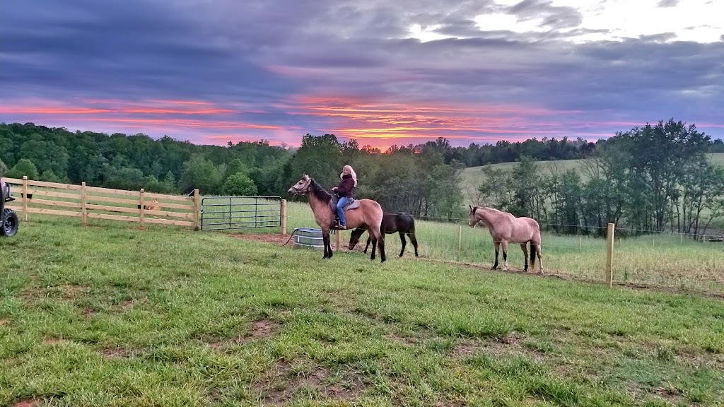 6D Acres Carriage and Wagons | 10582 NC-150, Linwood, NC 27299, USA | Phone: (828) 606-2935