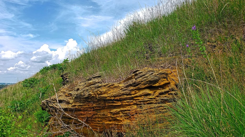 Muralt Bluff Prairie State Natural Area | Monticello, WI 53570, USA | Phone: (608) 266-0394