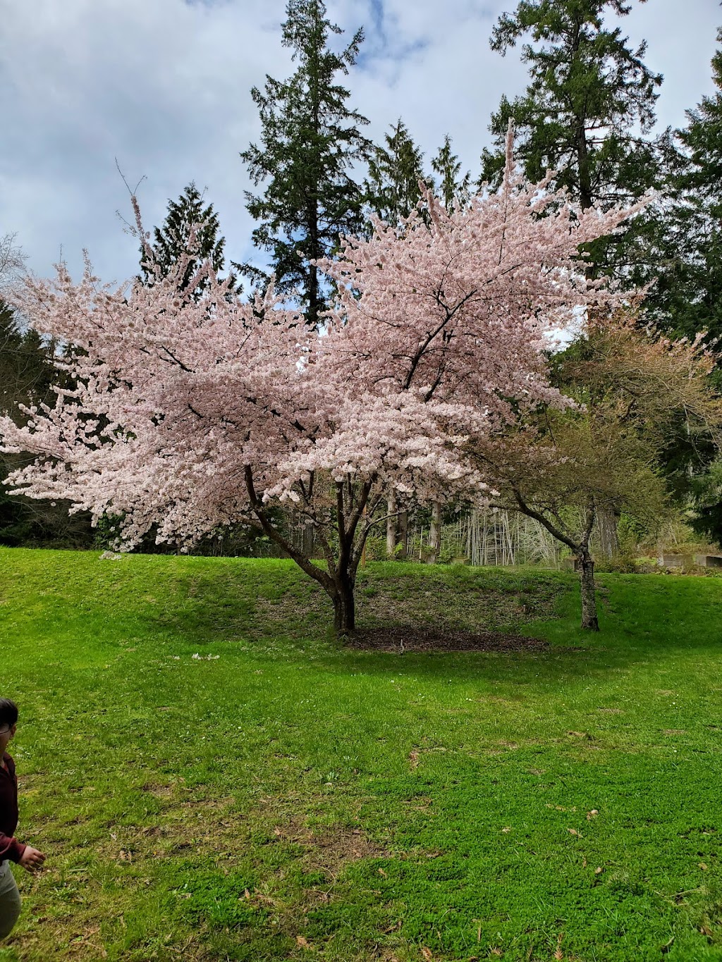 Island Lake County Park | 1087 NW Island Lake Rd, Poulsbo, WA 98370, USA | Phone: (360) 337-5350