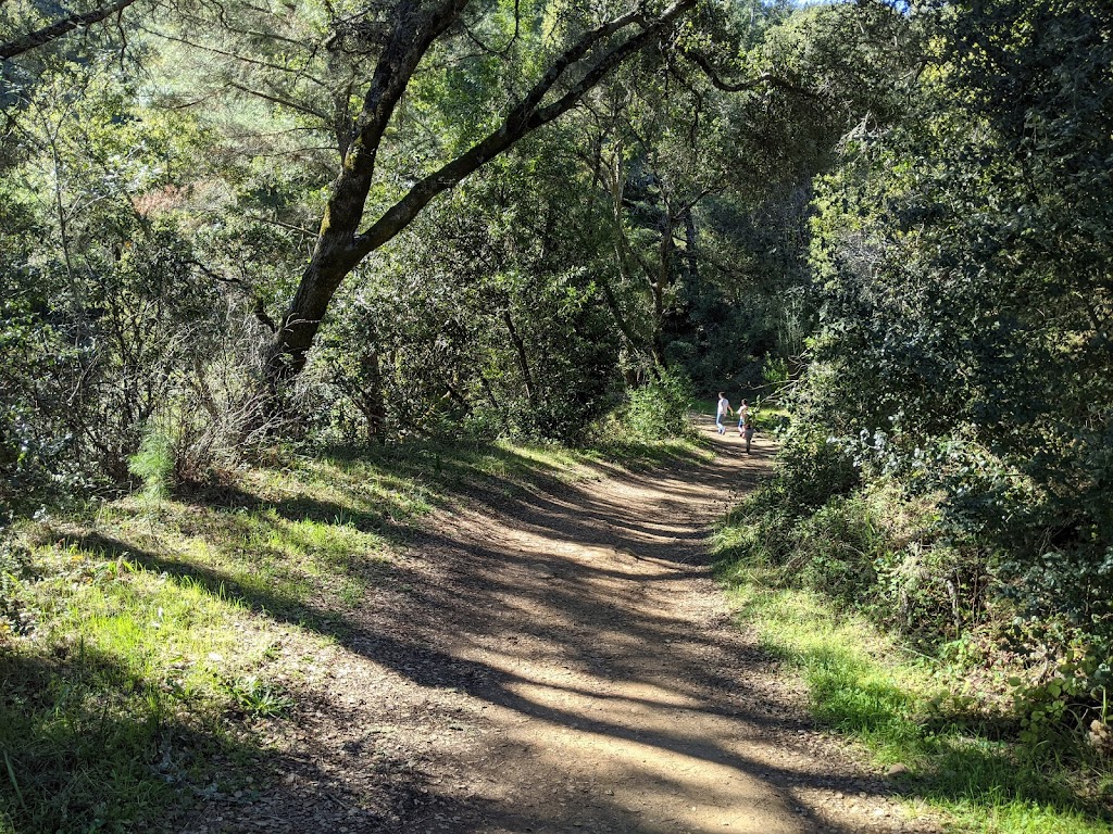 Thornewood Open Space Preserve | 21-99 Old La Honda Rd, Woodside, CA 94062, USA | Phone: (650) 691-1200