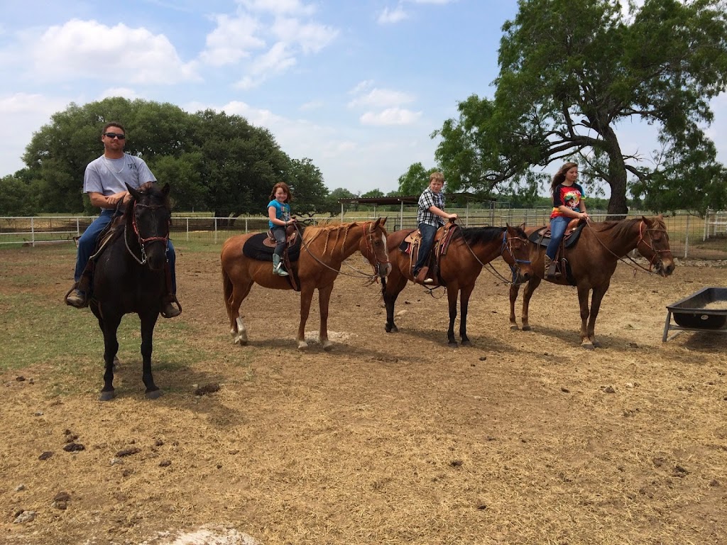 Horse Feathers Bed, Breakfast & Barn | 8019 TX-97, Pleasanton, TX 78064, USA | Phone: (210) 573-2130