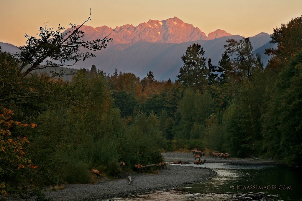 Olympic Peninsula Gateway Visitors Center | 93 Beaver Valley Rd, Port Ludlow, WA 98365, USA | Phone: (360) 437-0120