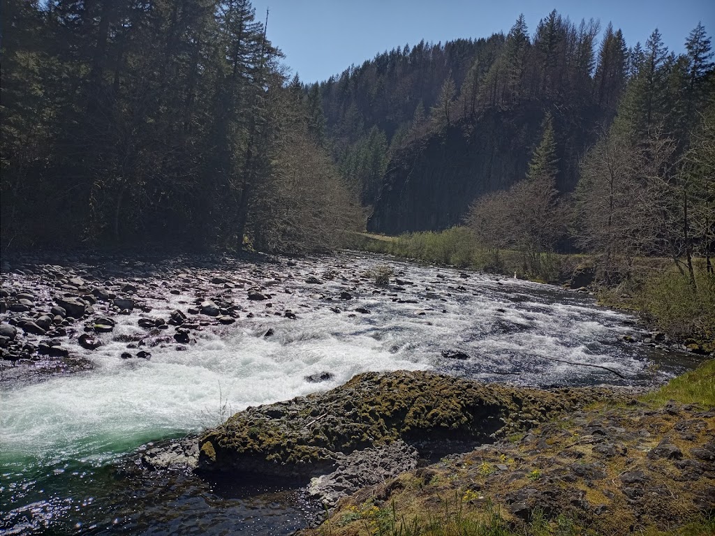 Molalla River Recreation Area | s 97038, 36287 S Dickey Prairie Rd, Molalla, OR 97038, USA | Phone: (503) 375-5646