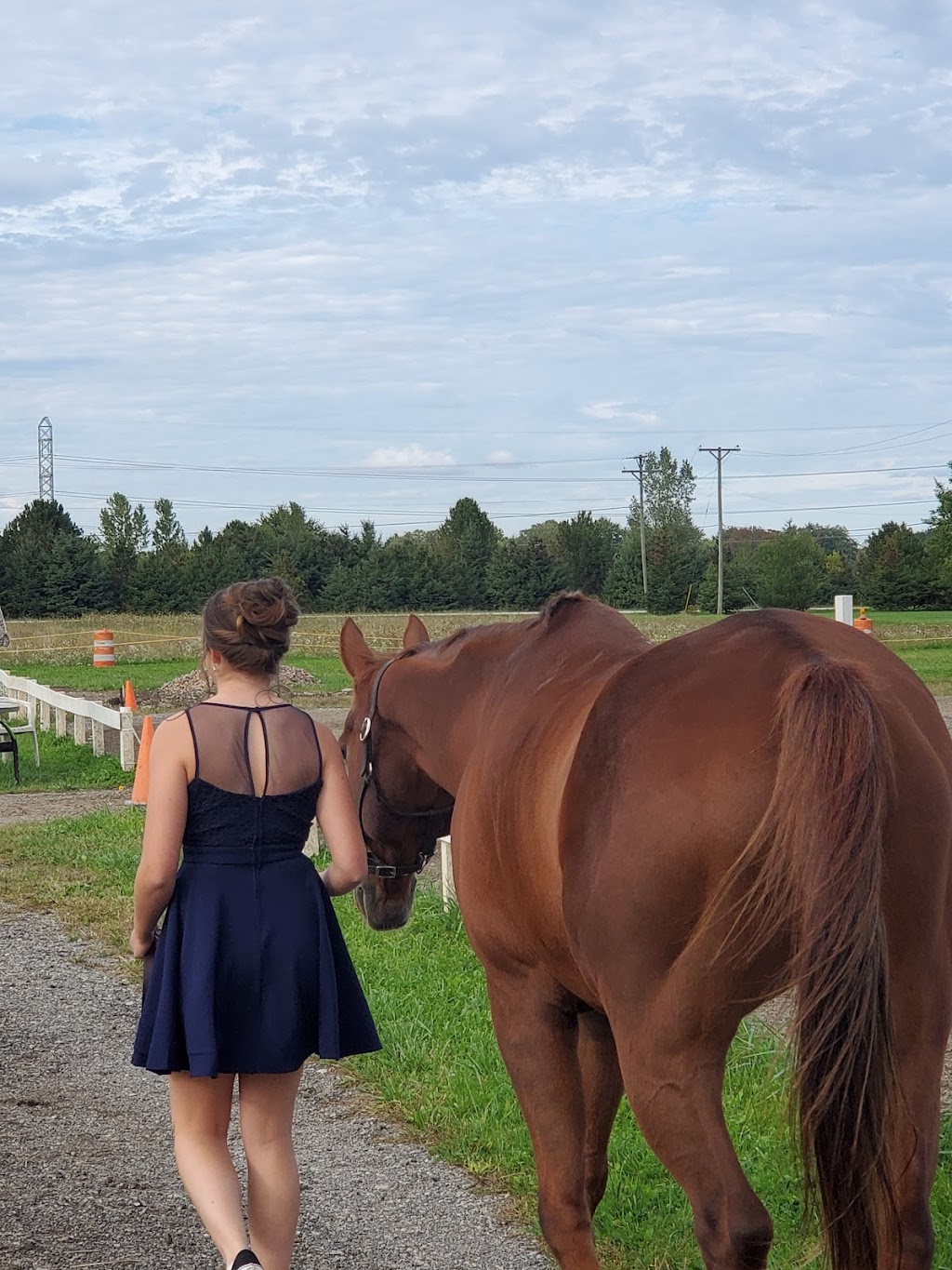 Great Oaks Equestrian Center LLC | 9633 Lindsey Rd, Casco, MI 48064, USA | Phone: (586) 242-2777