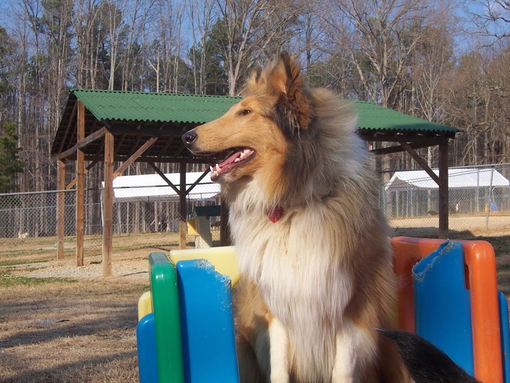 Sunny Acres Pet Resort | 5908 US-70, Durham, NC 27705, USA | Phone: (919) 383-4238