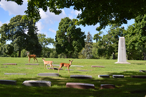 Calvary Cemetery | 10000 Miles Ave, Cleveland, OH 44105, USA | Phone: (216) 641-7575 ext. 2