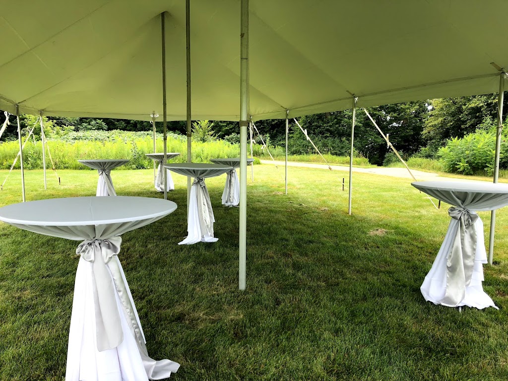 Next Event Planning & Rentals | 214 Ramsey St, Hastings, MN 55033, USA | Phone: (651) 437-6050