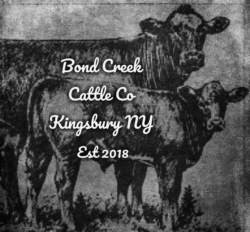 Bond Creek Cattle Co | 19 Crowley Rd, Hudson Falls, NY 12839, USA | Phone: (518) 338-4749