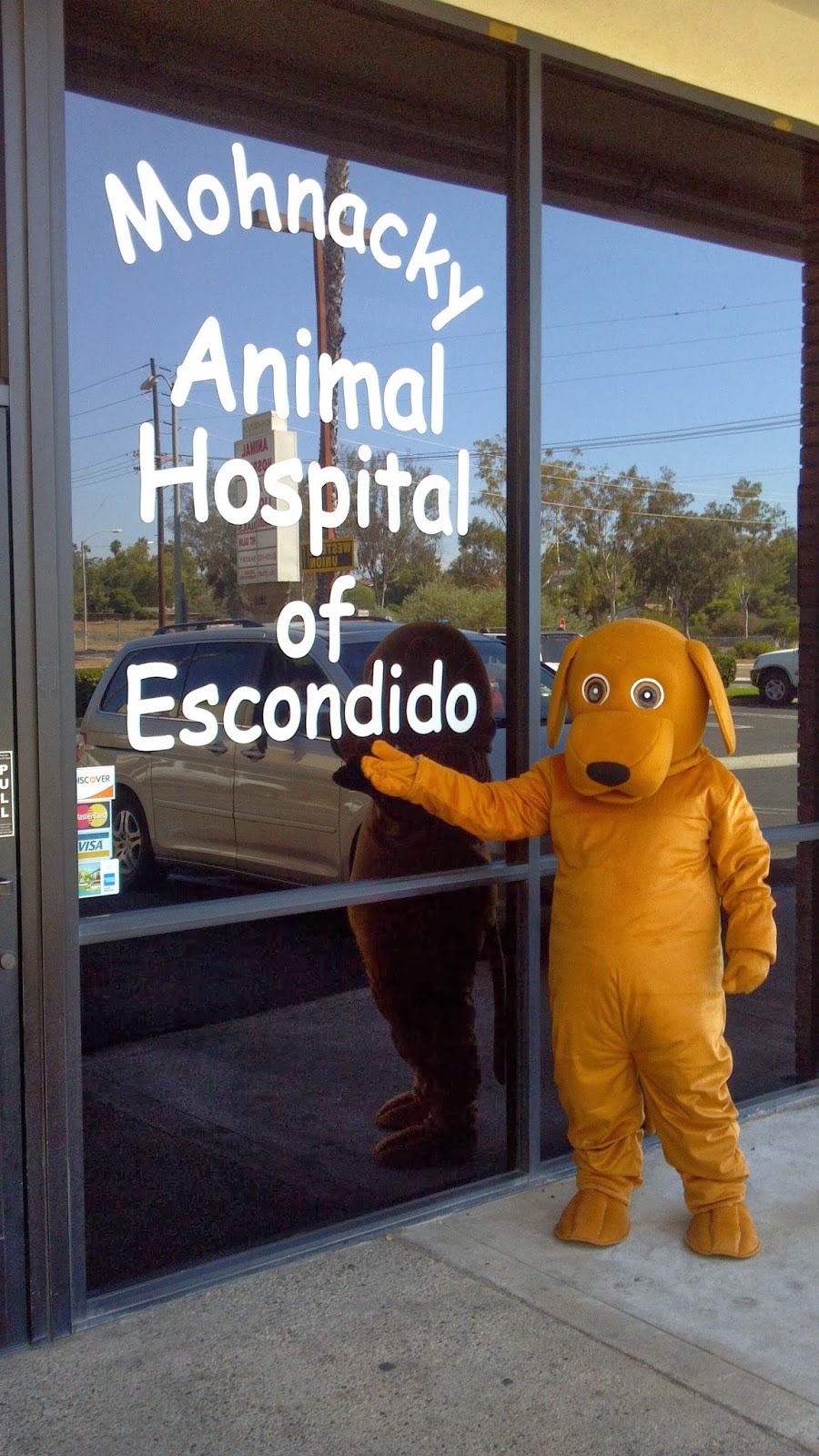 Mohnacky Animal Hospitals of Escondido | 2250 S Escondido Blvd #105, Escondido, CA 92025, USA | Phone: (760) 480-1934