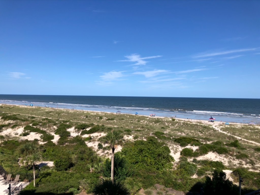 High Surf Amelia Island | Amelia Island Pkwy APT B179, Fernandina Beach, FL 32034, USA | Phone: (904) 945-3887