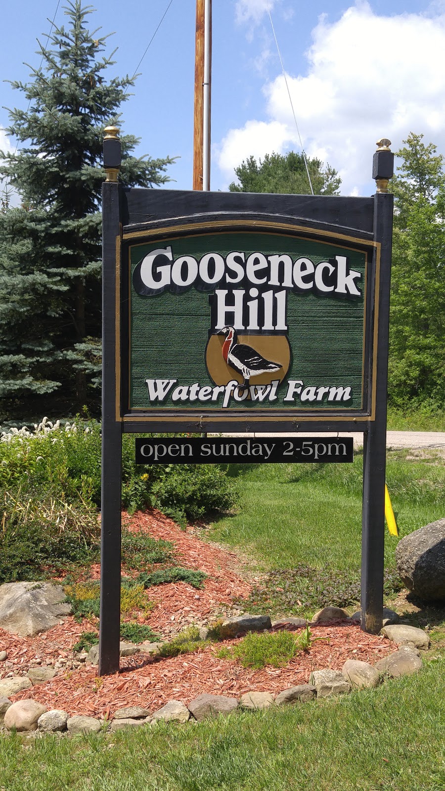 Gooseneck Hill Waterfowl Sanctuary | 5067 Lindsley Rd, West Valley, NY 14171, USA | Phone: (716) 942-6835