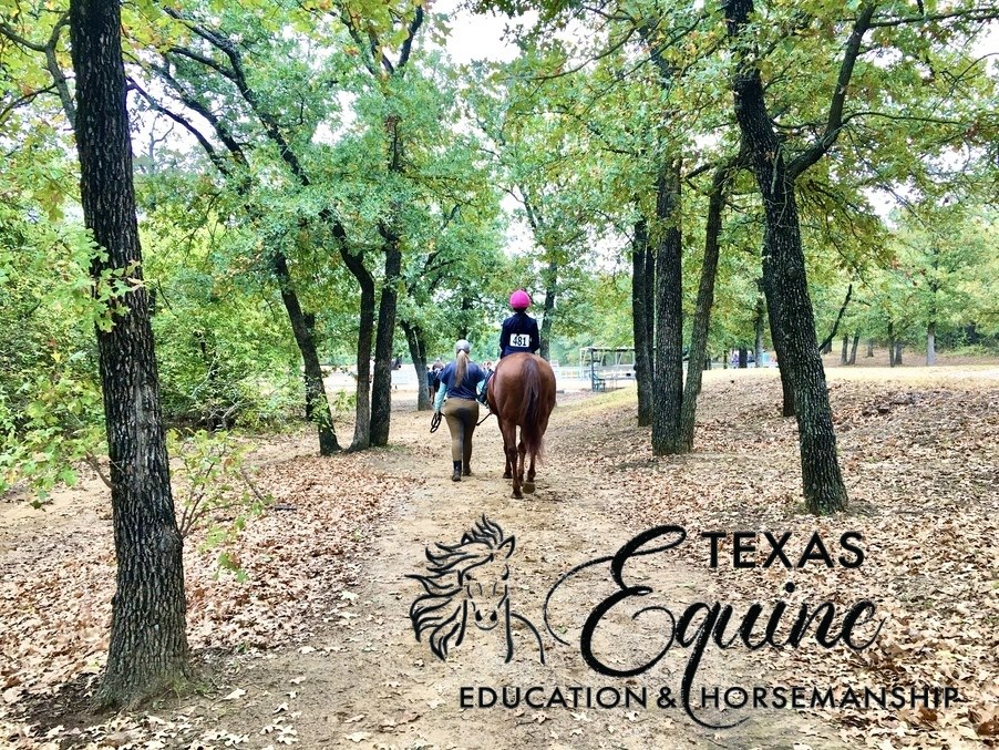 Texas Equine Education & Horsemanship | 4097 FM 903, Farmersville, TX 75442, USA | Phone: (972) 945-9493