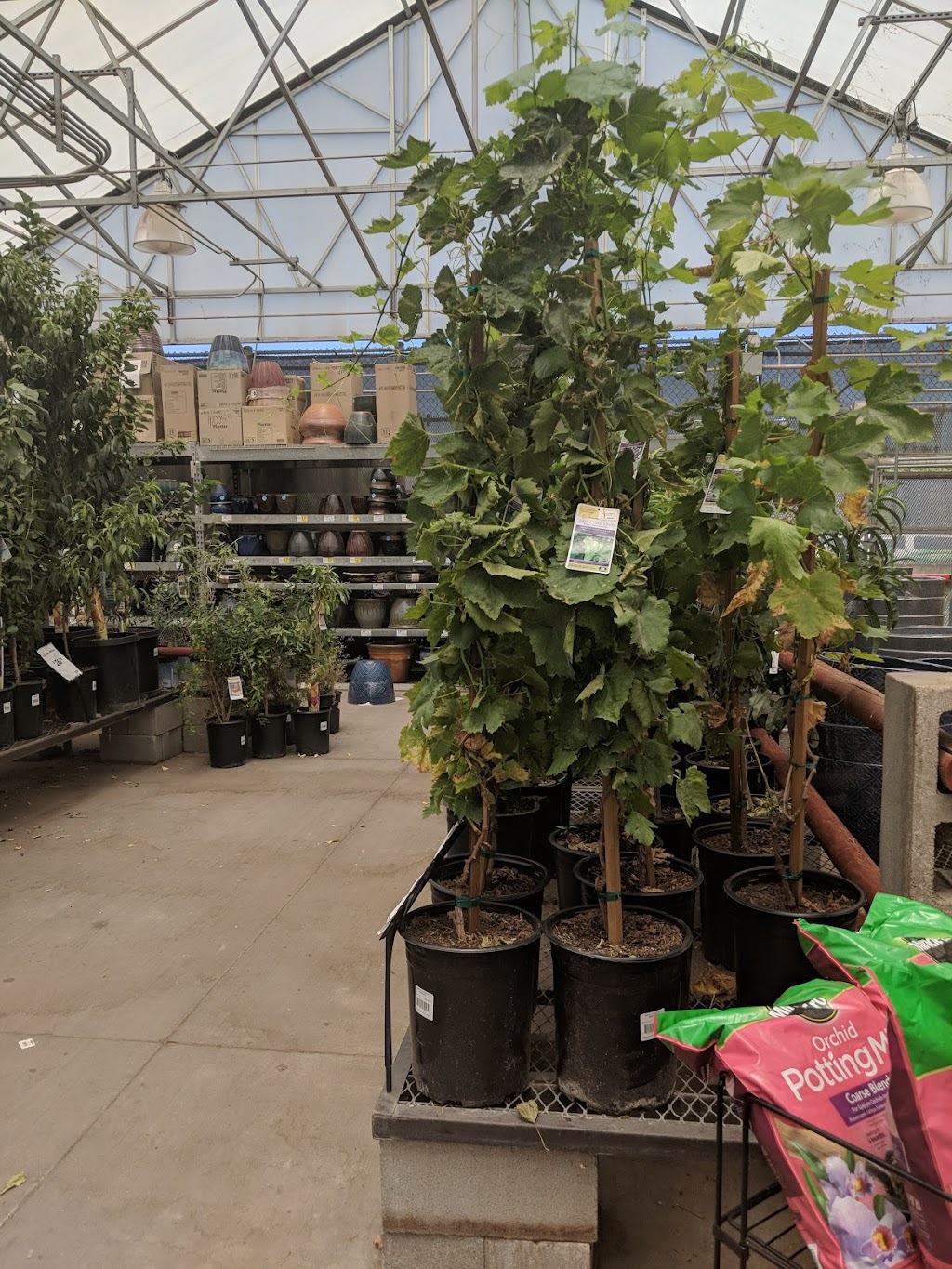 Lowes Garden Center | 1955 W Lacey Blvd, Hanford, CA 93230, USA | Phone: (559) 410-9000