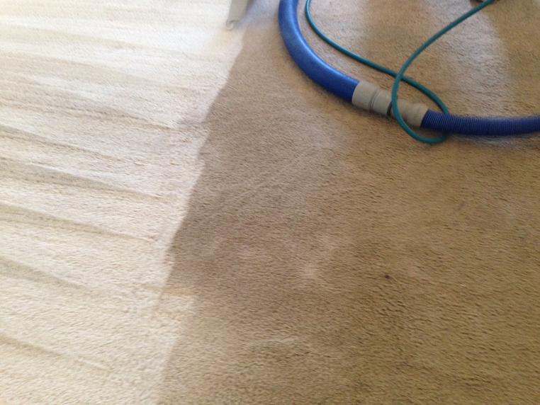 Fresh Cleaners Carpet Cleaning | 726 Arthur Ave, Virginia Beach, VA 23452, USA | Phone: (757) 525-6390