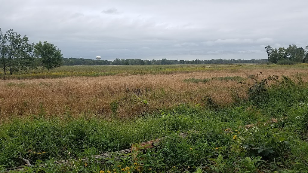 Blaine Wetland Sanctuary | 11980 Lexington Ave NE, Blaine, MN 55449, USA | Phone: (763) 785-6164