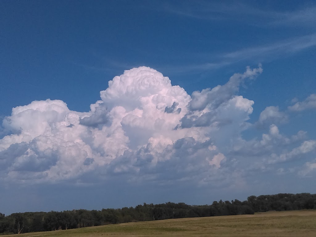 Maricara Natural Area | 10608 SW 30 Ave, Spivey, KS 67142, USA | Phone: (503) 823-7529