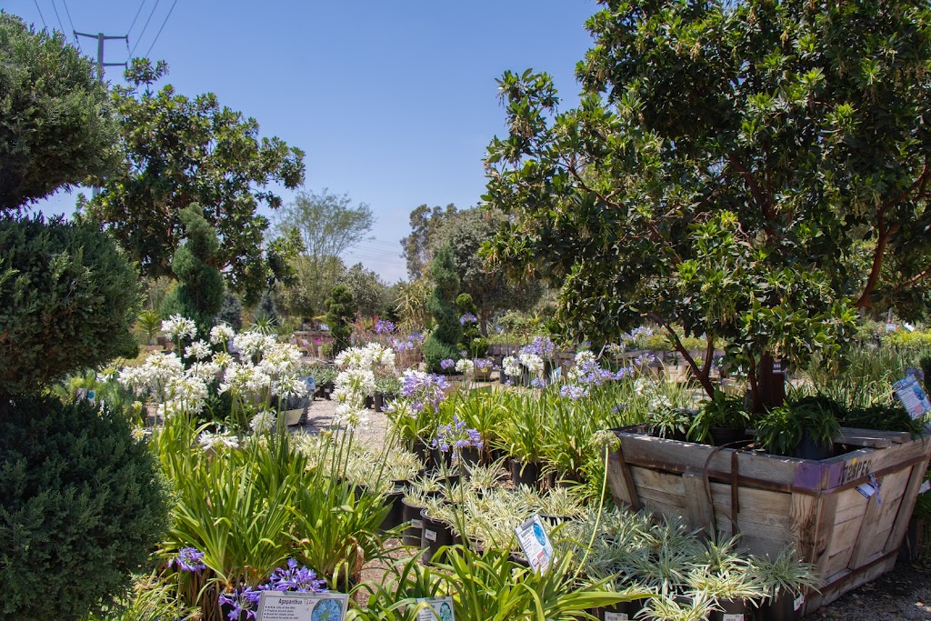 Moon Valley Nurseries | 520 Rucker Ave, Gilroy, CA 95020 | Phone: (408) 809-0458