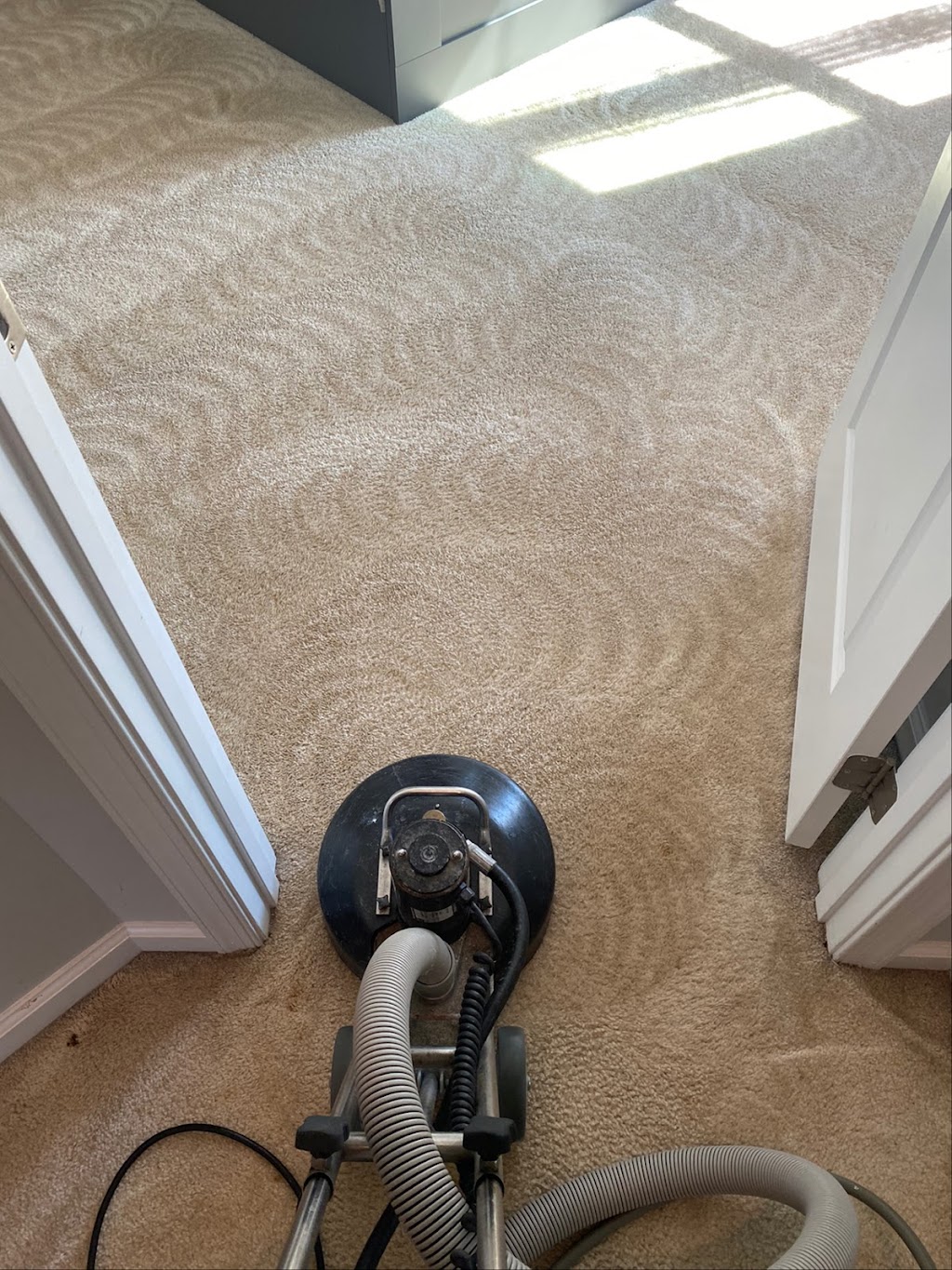 Mighty Clean Carpet Care - Carpet Cleaning | 15602 Lawnes Creek Ct, Centreville, VA 20120, USA | Phone: (703) 373-7444