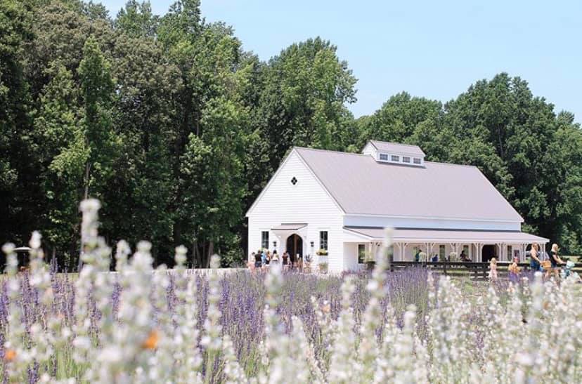 Sweethaven Lavender of Williamsburg: Reservations required | 2460 Bush Neck Rd, Williamsburg, VA 23188, USA | Phone: (757) 647-8684