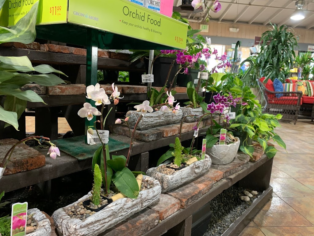 Armstrong Garden Centers | 28992 Golden Lantern, Laguna Niguel, CA 92677, USA | Phone: (949) 495-7205