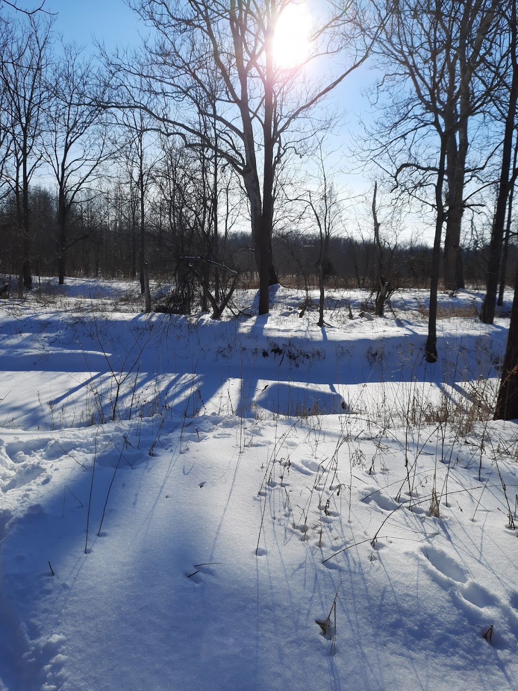 Short Hills Provincial Park | Pelham Rd, Thorold, ON L0S 1M0, Canada | Phone: (905) 774-6642