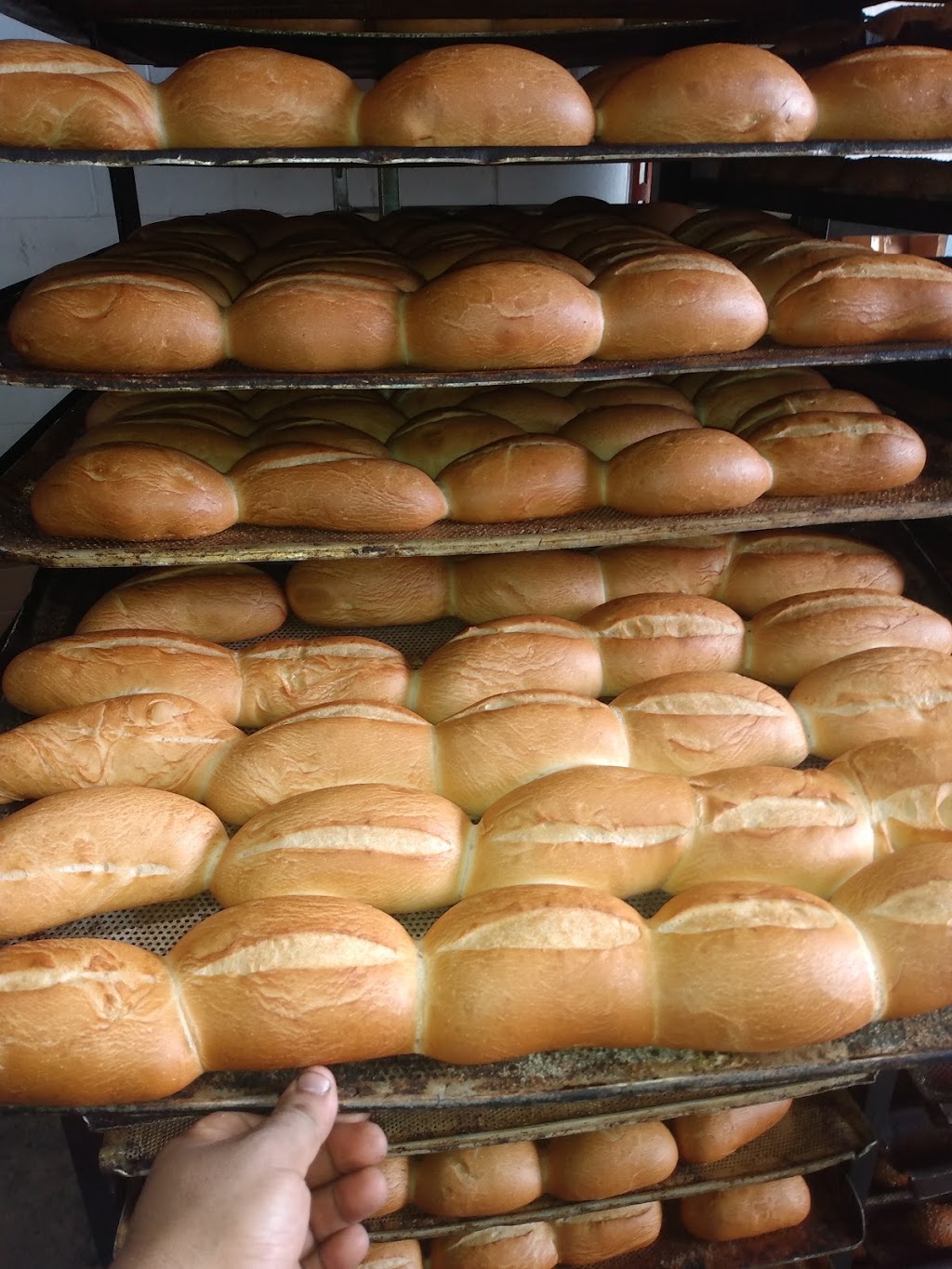 Ninos Bakery | 46 Oceanport Ave, West Long Branch, NJ 07764, USA | Phone: (732) 263-9433