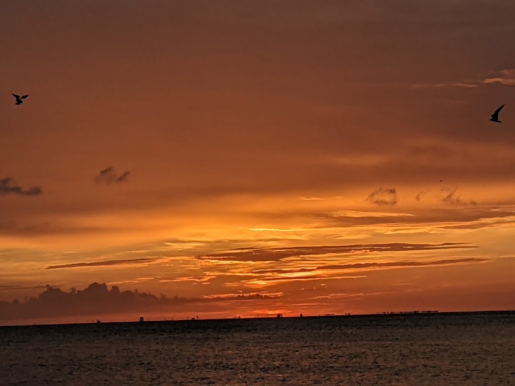 The Rod and Reel Resort | 877 N Shore Dr, Anna Maria, FL 34216, USA | Phone: (941) 251-4740