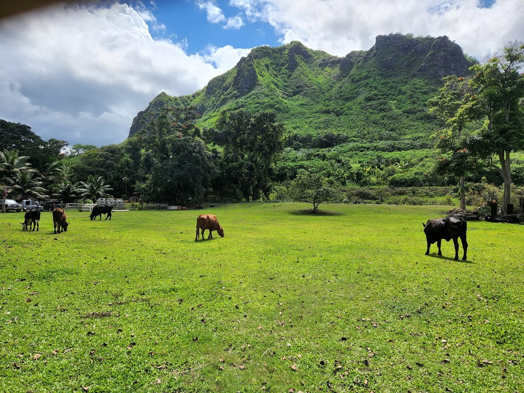 Kenekes Grill at Punaluu | 53-138 Kamehameha Hwy, Hauula, HI 96717, USA | Phone: (808) 237-1010