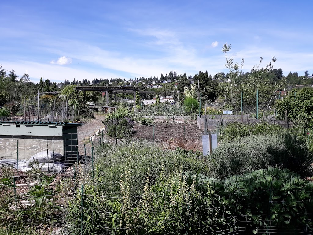 Magnuson Park P-Patch Community Gardens | 7400 Sand Point Way NE, Seattle, WA 98115, USA | Phone: (206) 684-2489