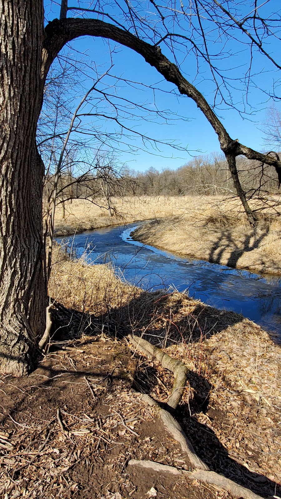 Joyce M. Baer & George J. Socha Conservancy | 5784 Cherry Ln, Marshall, WI 53559 | Phone: (608) 224-3730