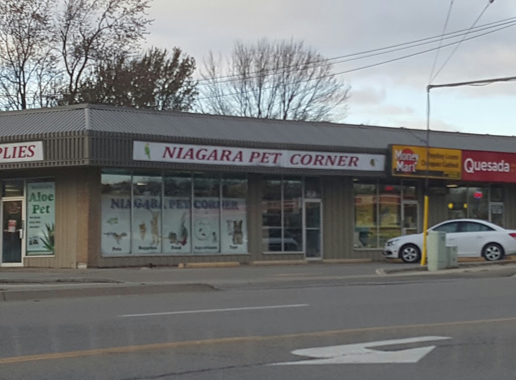 Niagara Pet Corner | 545 Niagara St, Welland, ON L3C 1L7, Canada | Phone: (905) 735-2221