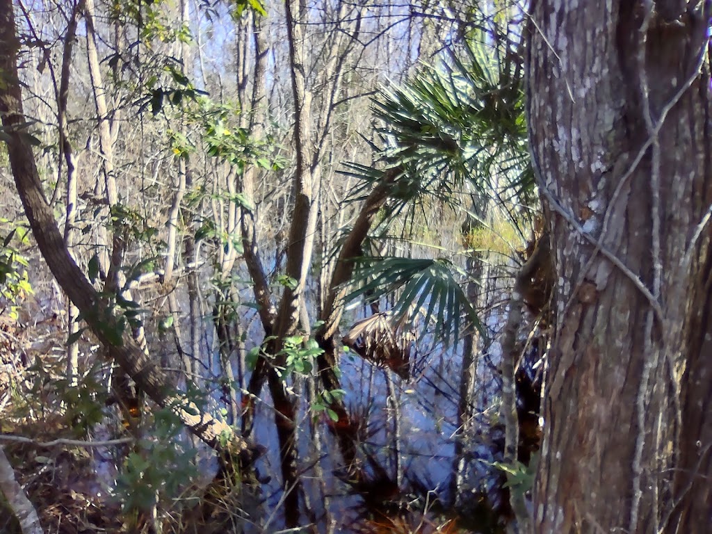 Hidden Pond Preserve | 20501 FL-520, Orlando, FL 32833, USA | Phone: (407) 836-1400