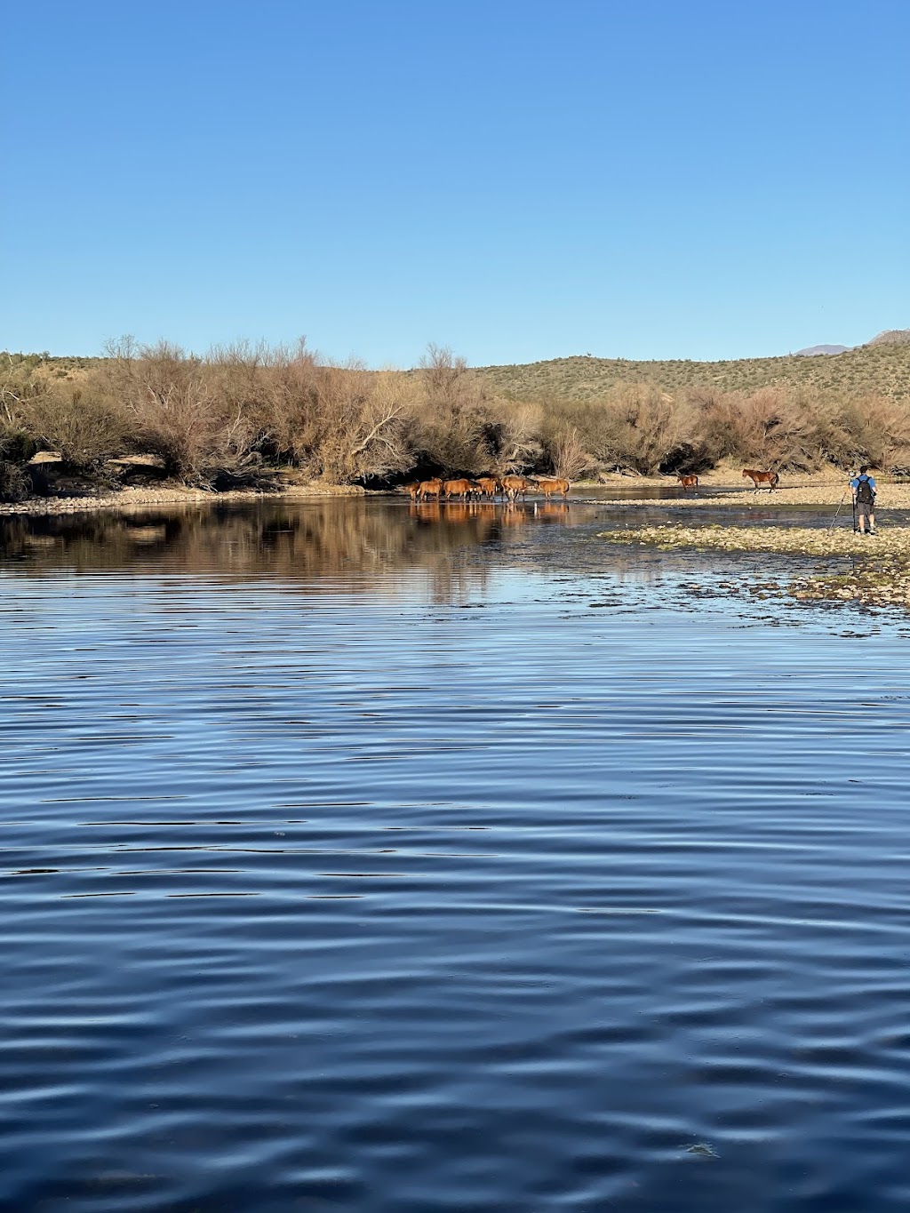 AzTrailRiding.com | 731 N 102nd Pl, Mesa, AZ 85207 | Phone: (602) 312-6713