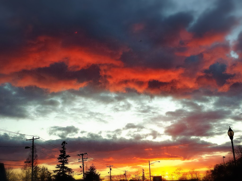 Field of Dreams Park | 5619 Old Sunrise Hwy, Massapequa, NY 11758, USA | Phone: (516) 797-4129