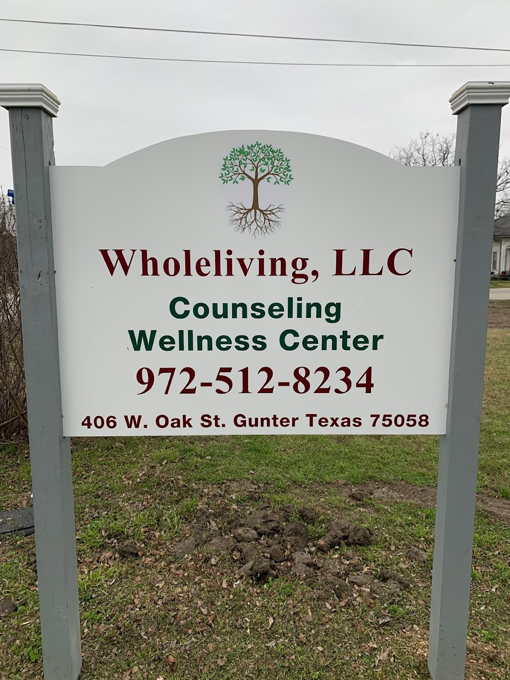 Whole Living, LLC | 406 W Oak St, Gunter, TX 75058, USA | Phone: (972) 512-8234