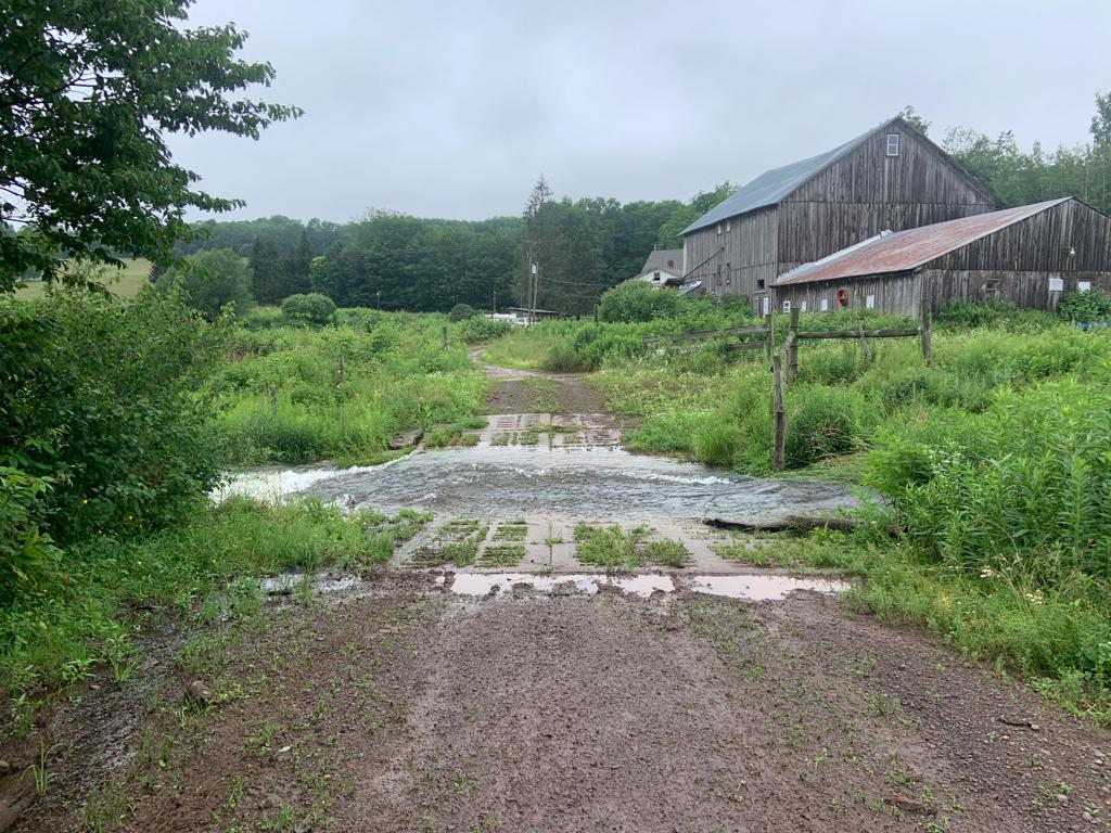 My Magical Farm | 834 Crescent Valley Rd, Bovina Center, NY 13740, USA | Phone: (347) 767-6048