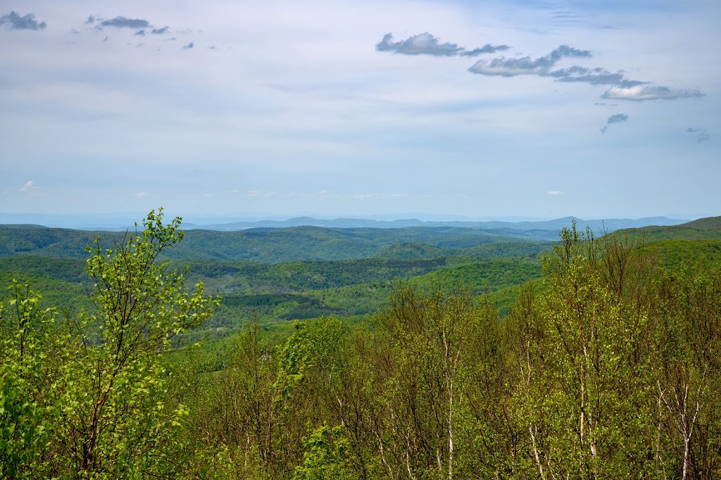 Taconic Ridge State Forest | Berlin, NY 12022, USA | Phone: (518) 357-2161